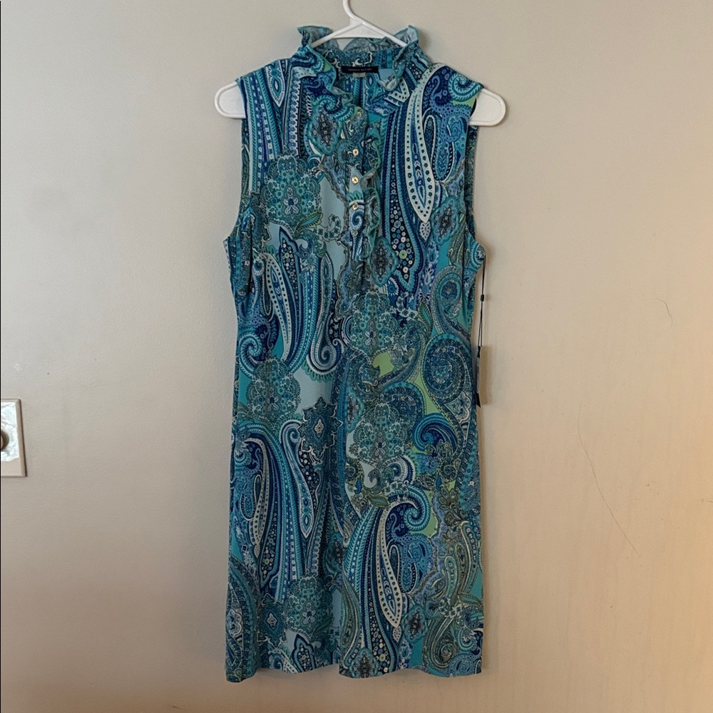 Sleeveless Paisley Dress in Blue and Green